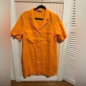 Everlane shirt dress